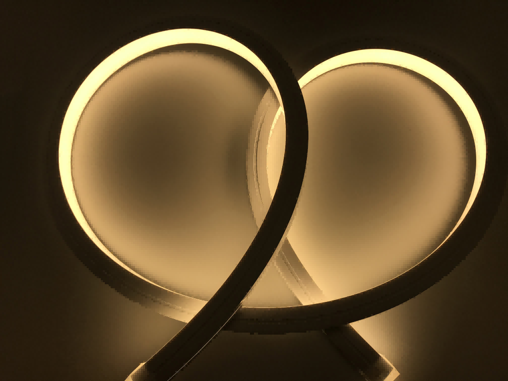 16*16mm flat curved LED neon light strip