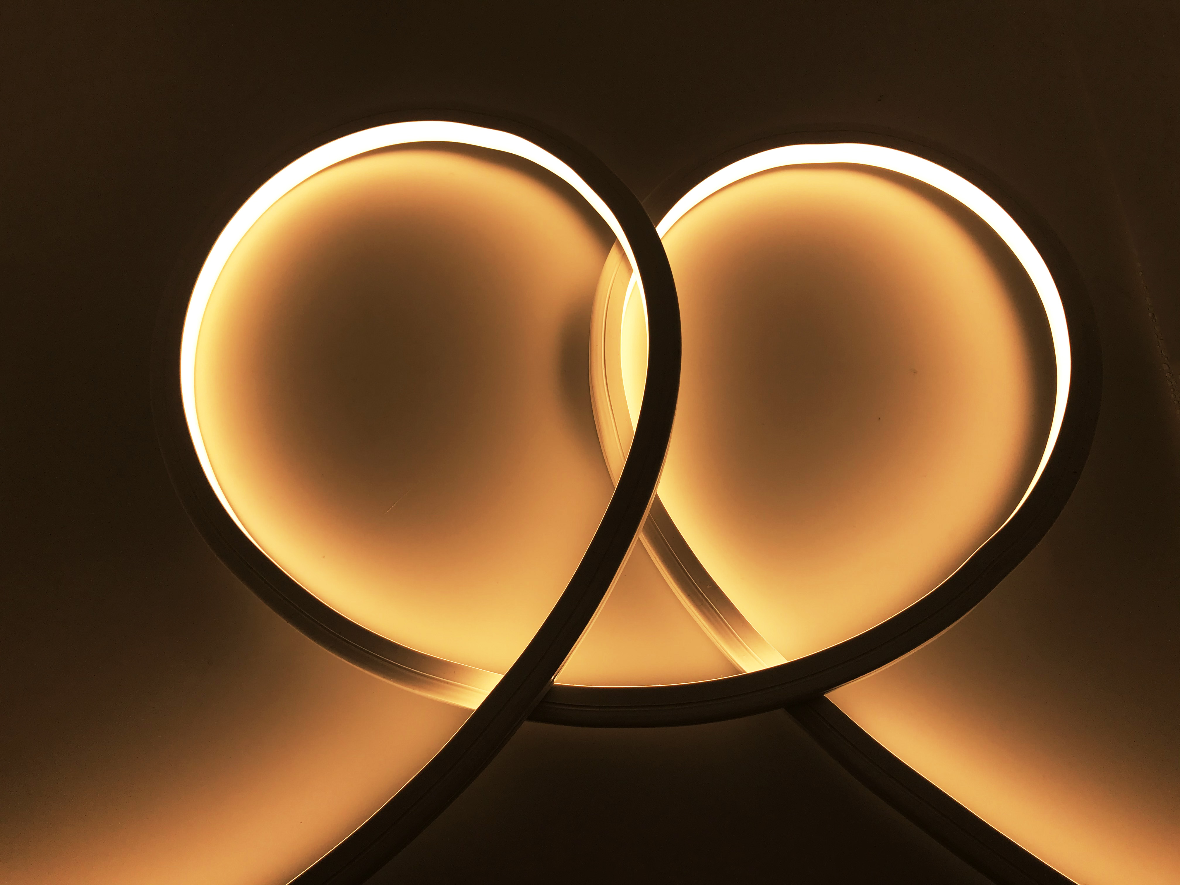 10*10mm flat curved LED neon light strip