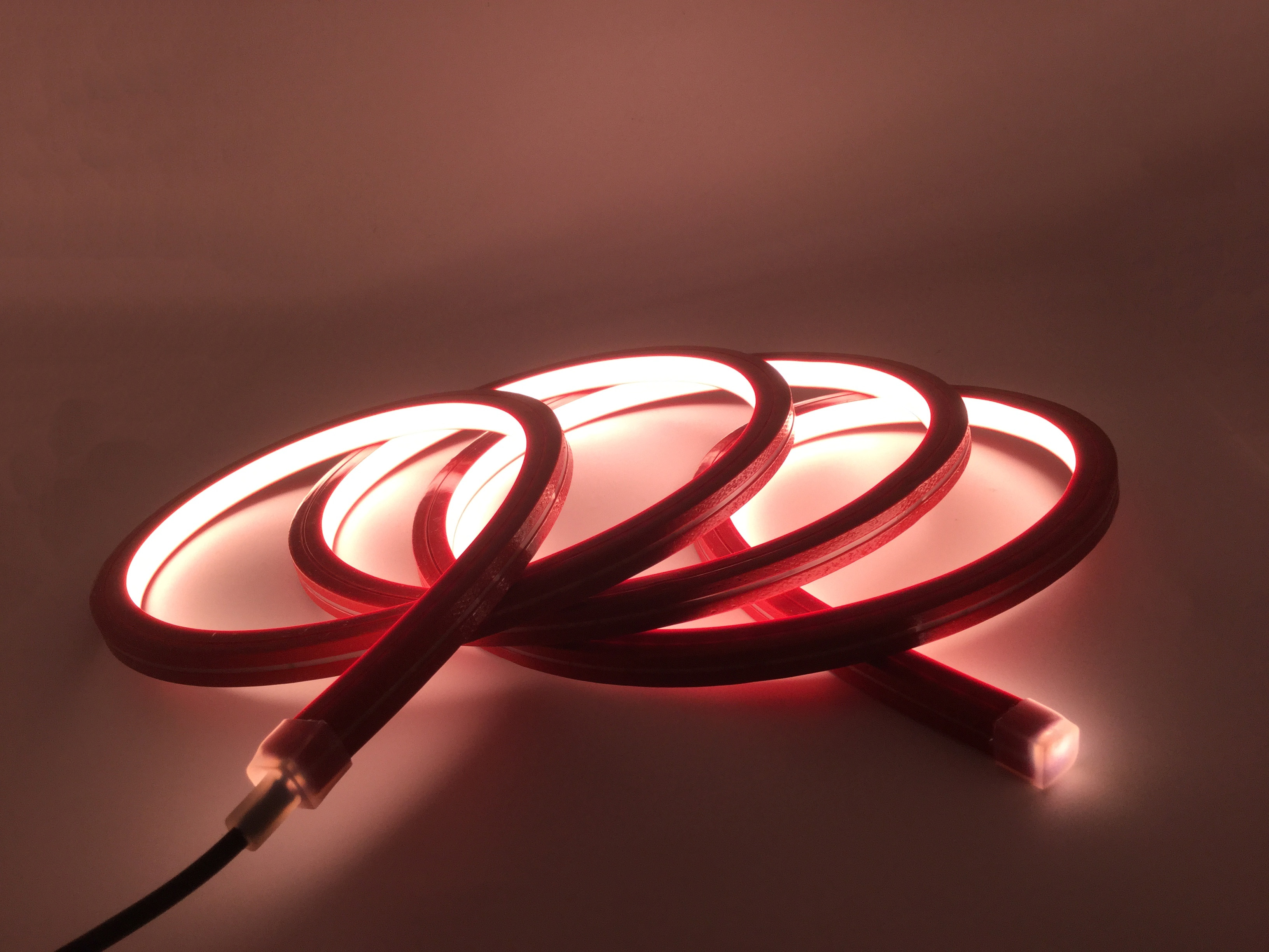 12*12mm flat curved LED neon light strip
