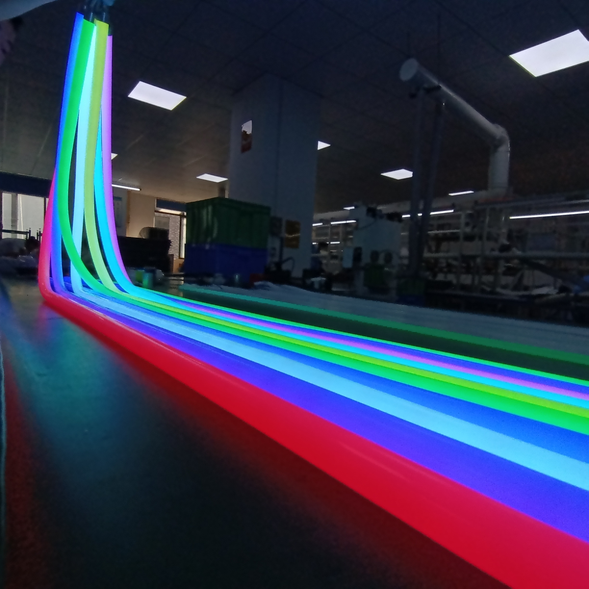D25mm LED Neon Light Strip